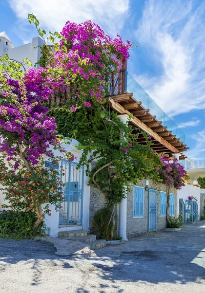 Bodrum Kandemir Yapi